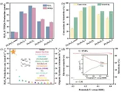 9体育-67式木柄手榴弹弹坑